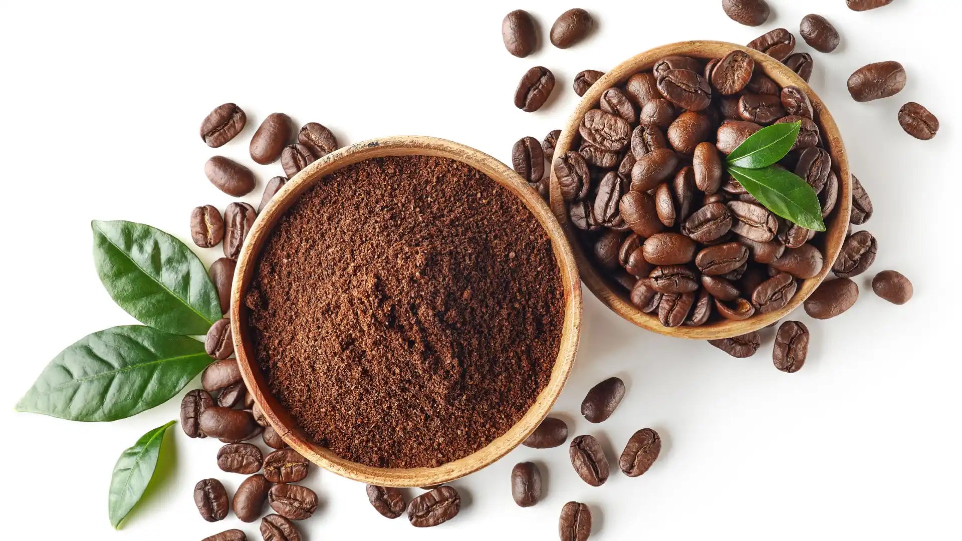 Exploring the Delightful World of Coffee Powders: Ignite Your Senses with Rich Flavors and Health Benefits